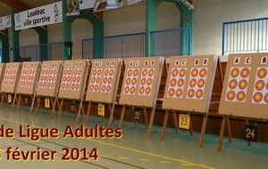 Tir en Salle Ligue Adultes