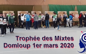 5e5cd8d5461ef_Trophedesmixtes1.jpg