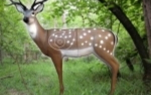 3D Ploeuc sur Lié