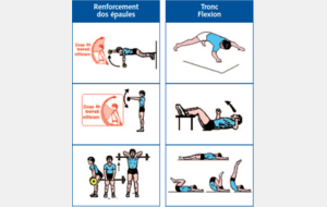 Renforcement musculaire 