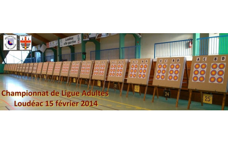 Tir en Salle Ligue Adultes