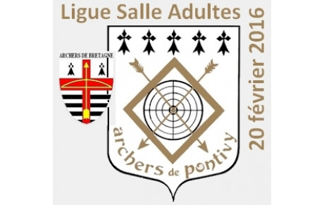 Ligue Salle adultes Pontivy (suite)
